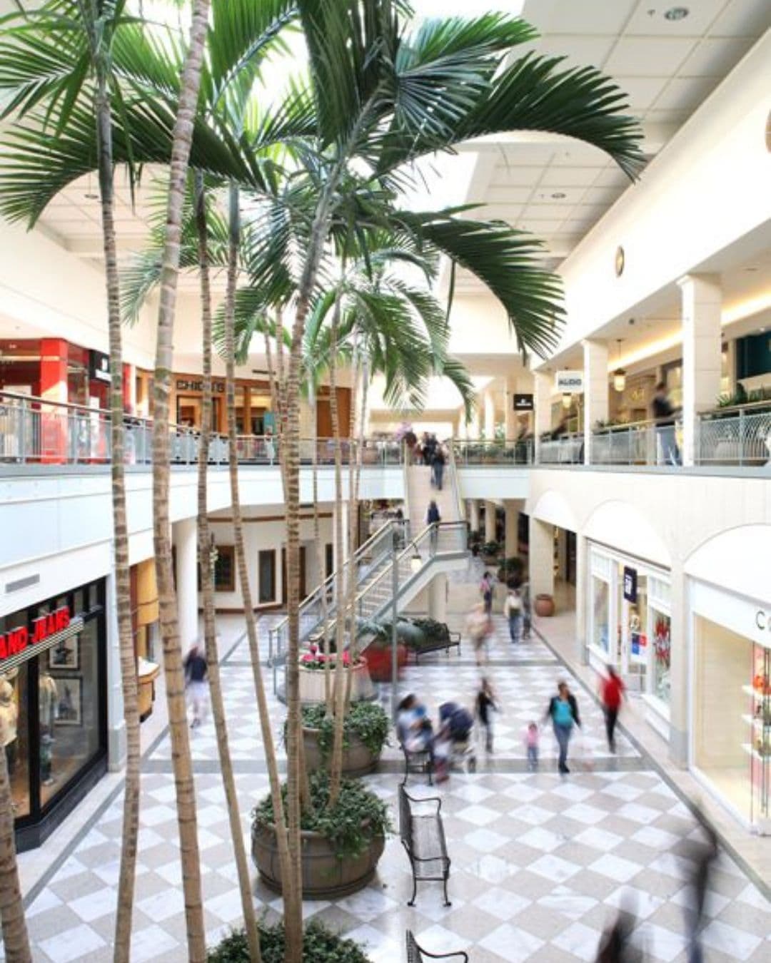 Hillsdale Shopping Center